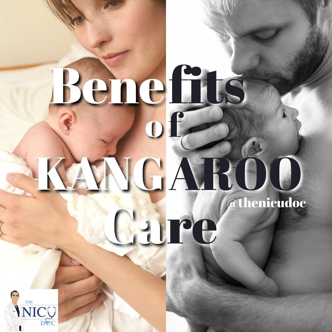 The Benefits of KANGAROO, Skinto Skin Care